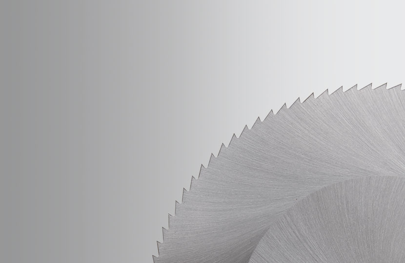 Circular saw blades for fish processing